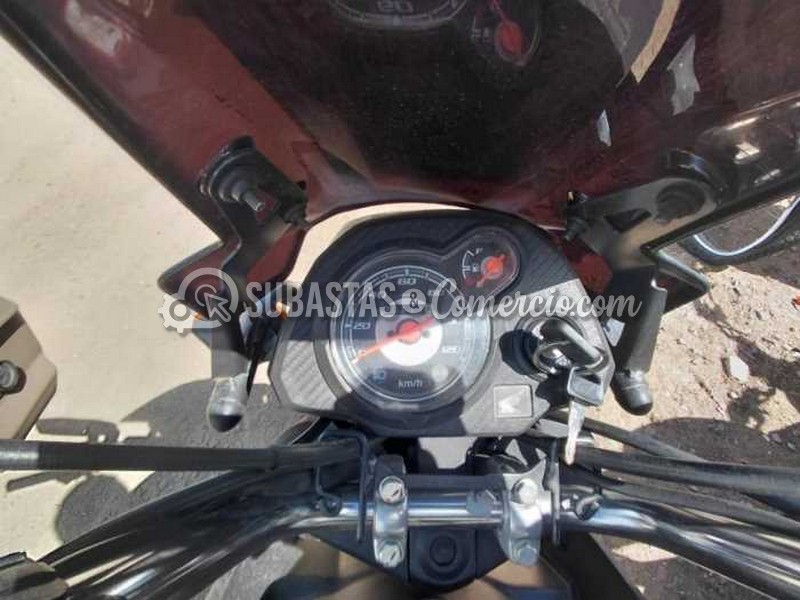 WhatsApp Image 2025-11-27 at 11.09.12 AM.jpg